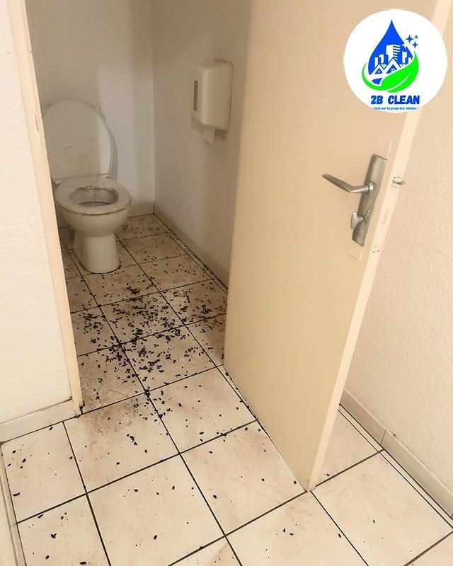 Wc avant nettoyage
