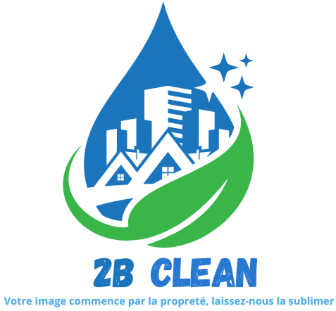 2b Clean